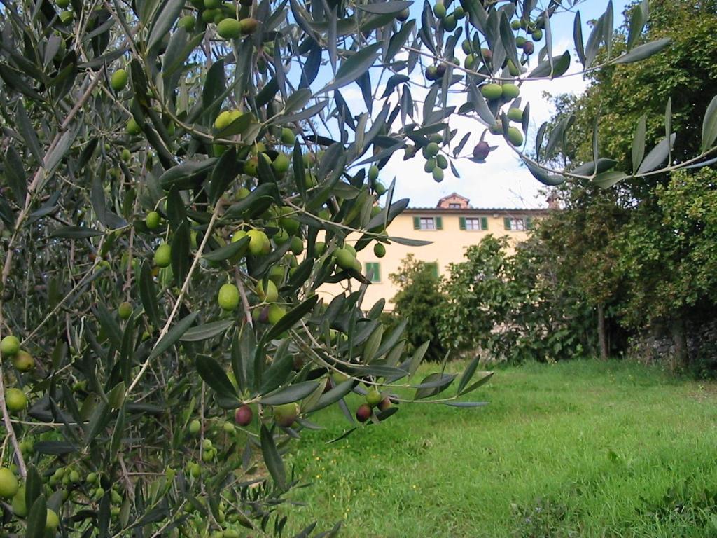 Hotel Relais Palazzo Di Luglio Sansepolcro Exterior photo